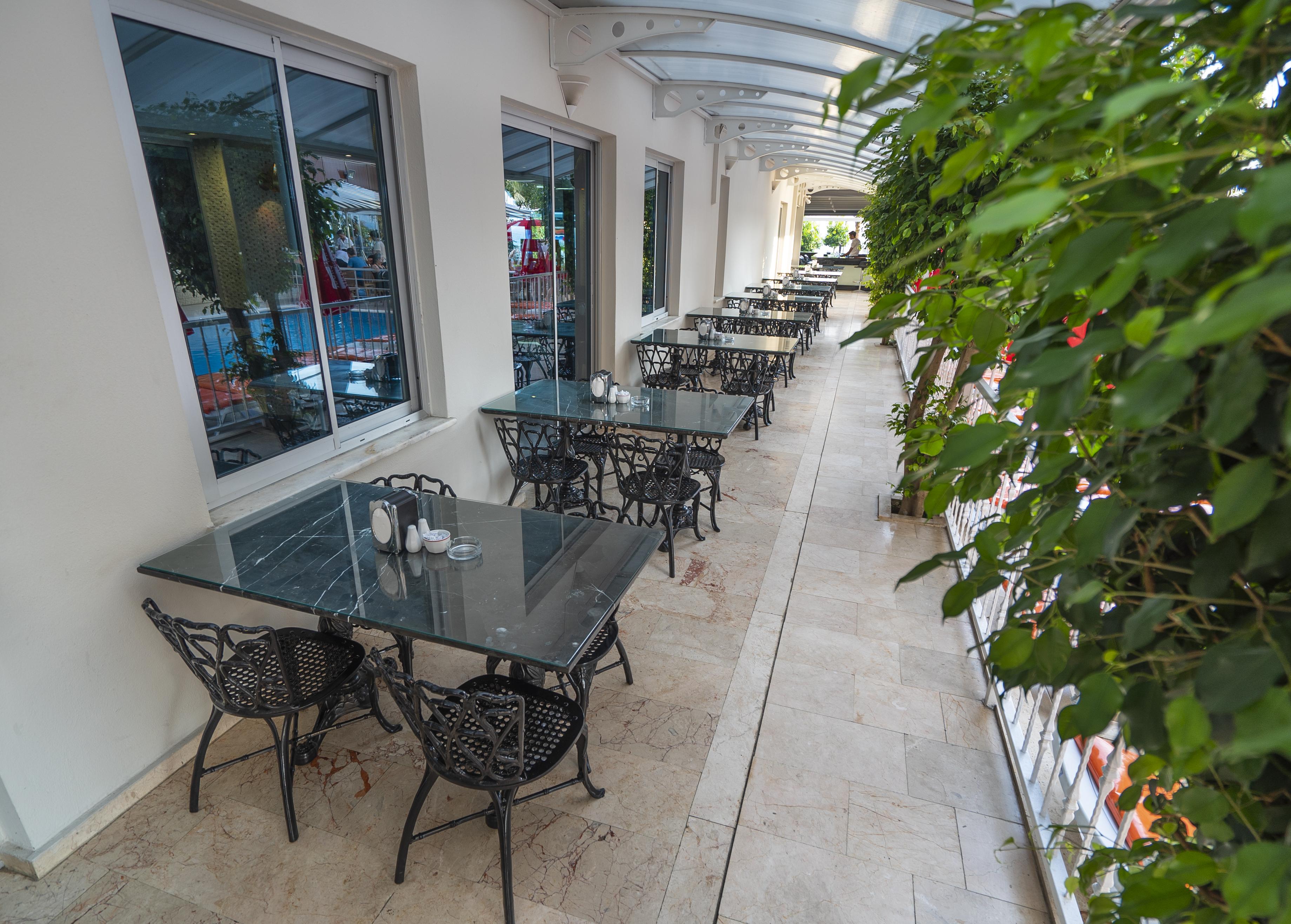 Kleopatra Celine Hotel Alanya Exterior photo